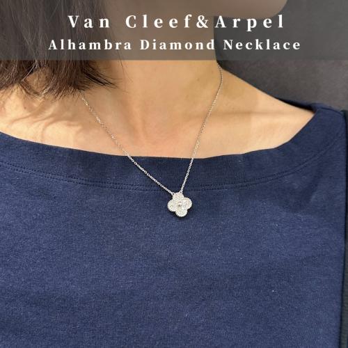 25年11月20日：画像2