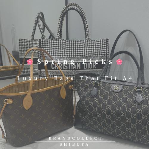 26年03月17日：画像1