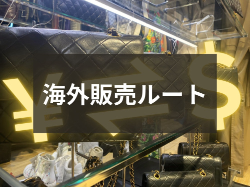 24年12月06日：画像5