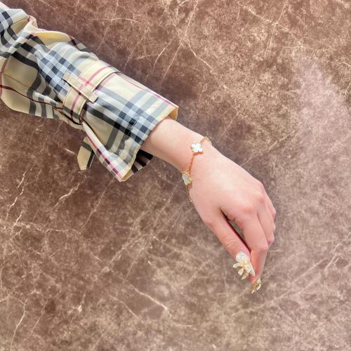 26年01月06日：画像3