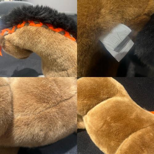 26年04月26日：画像4