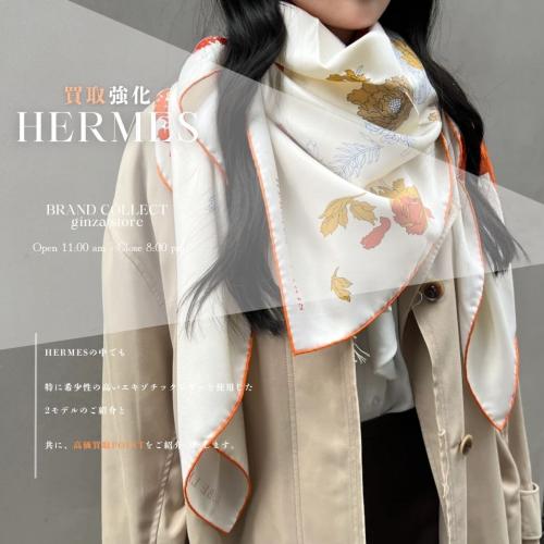 25年11月09日：画像1