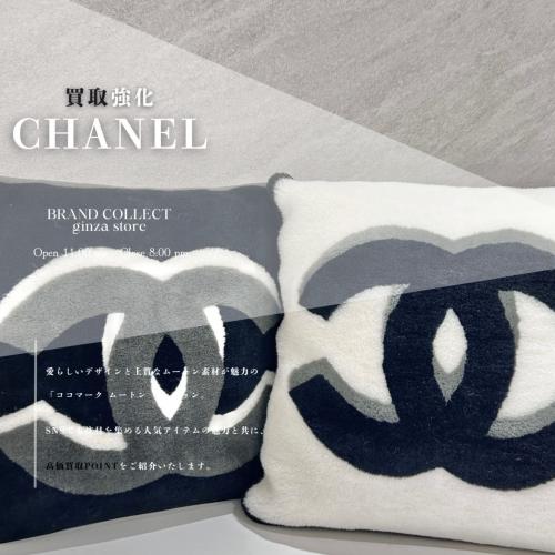 25年11月12日：画像1