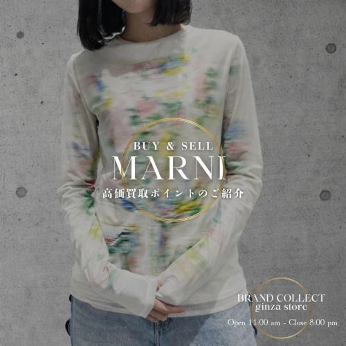 26年03月08日：画像1