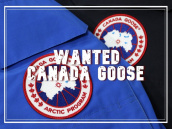 季節問わず CANADA GOOSE 高価買取致します！！！ ：画像1