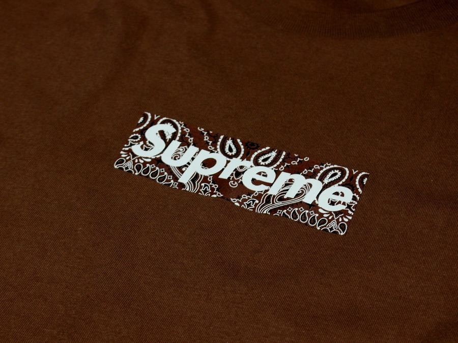Supreme Bandana Box Logo Tee Brown XL
