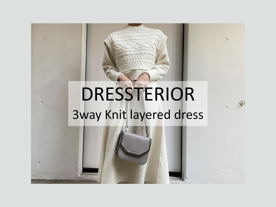 高価買取/新入荷】DRESSTERIOR/ドレステリアの3wayニットレイヤード